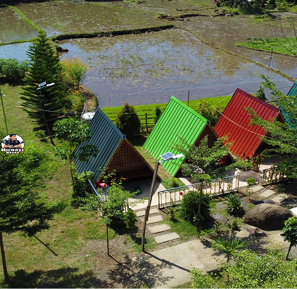 Aerial view of the park