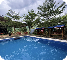 Swimming pool surrounded by trees
