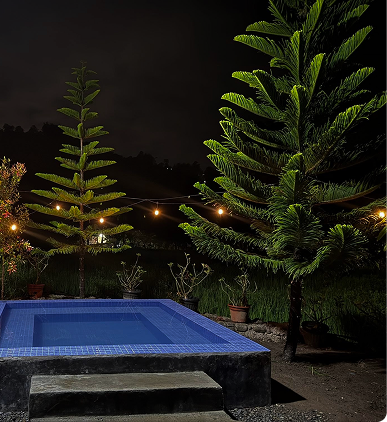 Jacuzzi at night surrounded by pine trees