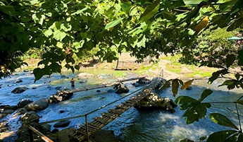 River running through the park