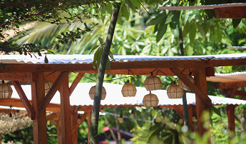 Hammocks strung between the trees